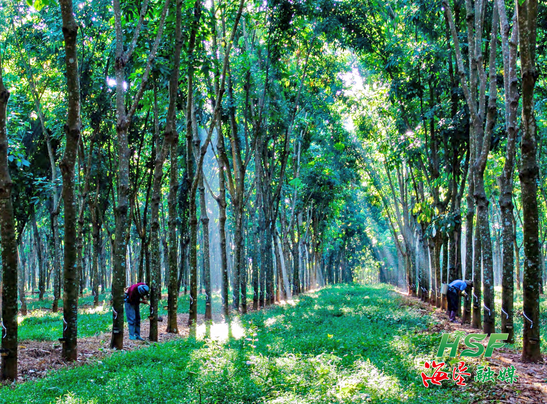 1701849732944024220.png 1701849732944024220.png