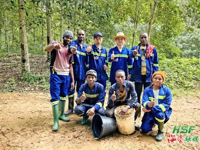 1717556994579075045.jpg 1717556994579075045.jpg